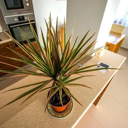 Andjela Apartament Starigrad Paklenica